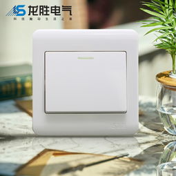 中國(guó)大陸墻面開(kāi)關(guān)市場(chǎng)概述 質(zhì)量、選擇與選購(gòu)指南